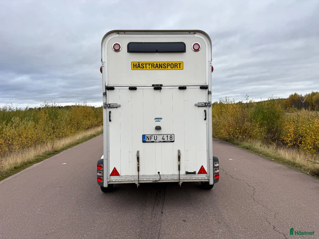 Hästtransporter  fordon & transport till salu: UME B60 -12 - Annons 4