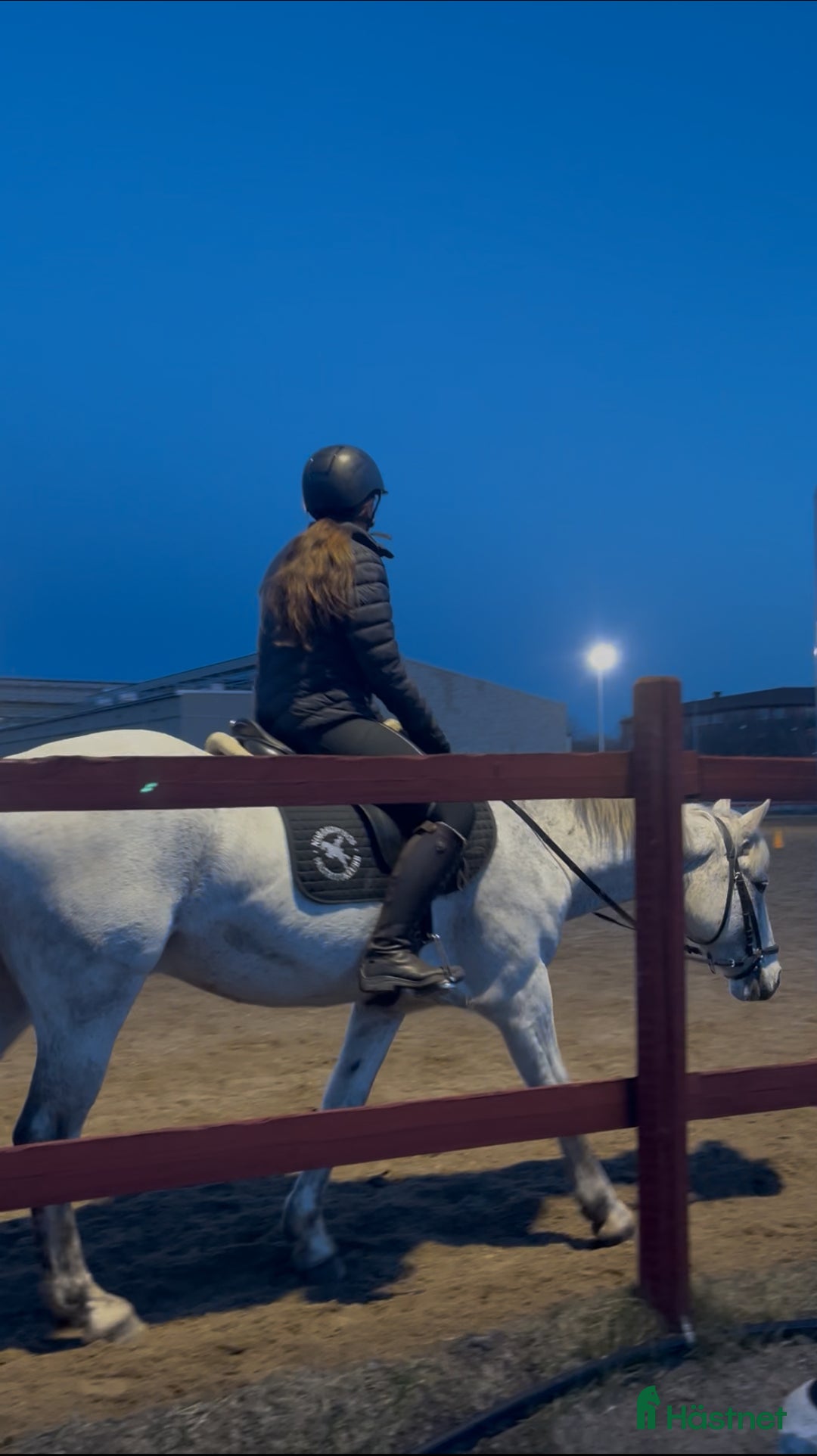 Övrigt hästar sökes: 13 årig tjej söker medryttar häst/ponny. - Annons 1