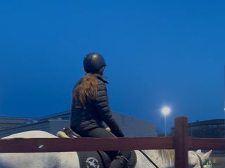 Övrigt hästar sökes: 13 årig tjej söker medryttar häst/ponny. - Annons 1