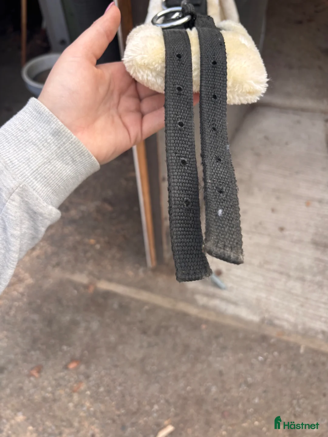 Körselar körning till salu: Nova sport tömkörningsgjord - Annons 5