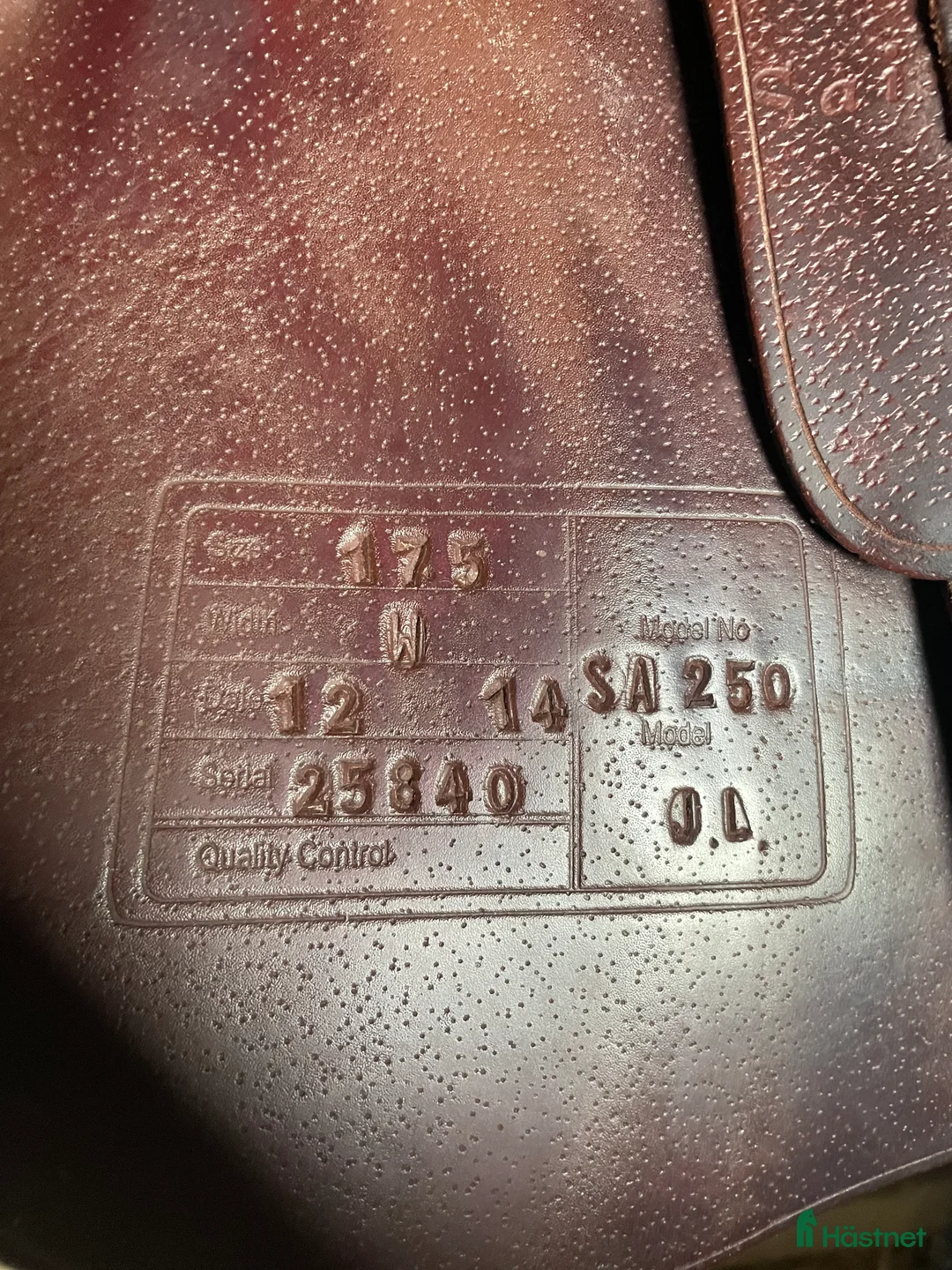 Sadlar hästutrustning till salu: St. Lourdes - Annons 2