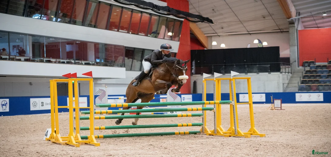 Galleribild {{count}}