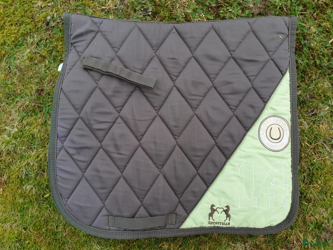 Övrig Hästutrustning hästutrustning till salu: Hästsaker i Skeppshult - Annons 24