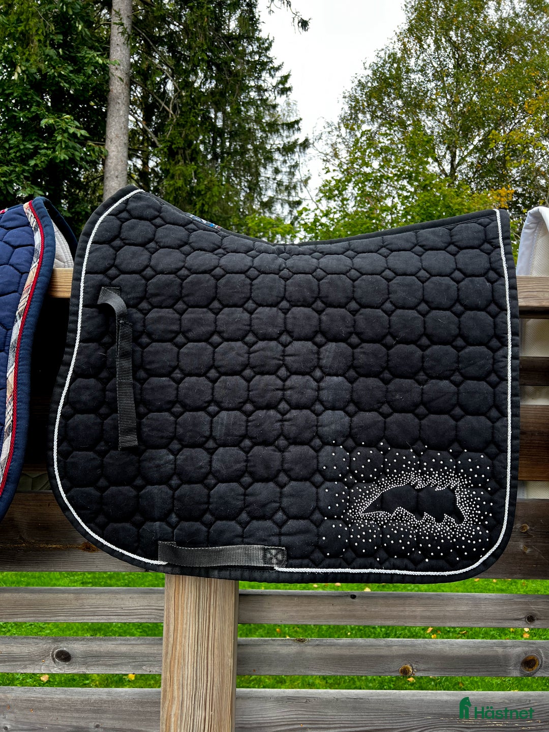 Övrig Hästutrustning hästutrustning till salu: Div hästutrustning i Rönninge - Annons 11