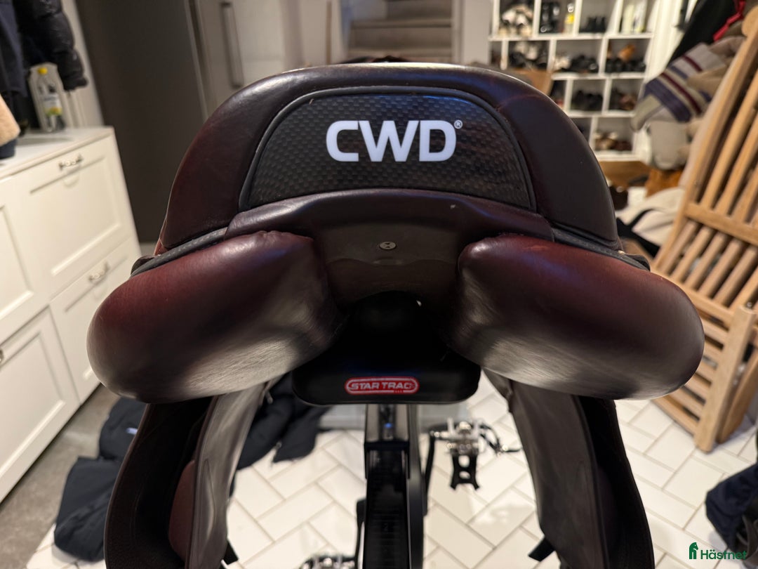 Sadlar hästutrustning till salu: CWD 2Gs hoppsadel, 17,5. Sadelgjord, stigläder! i Bromma - Annons 2