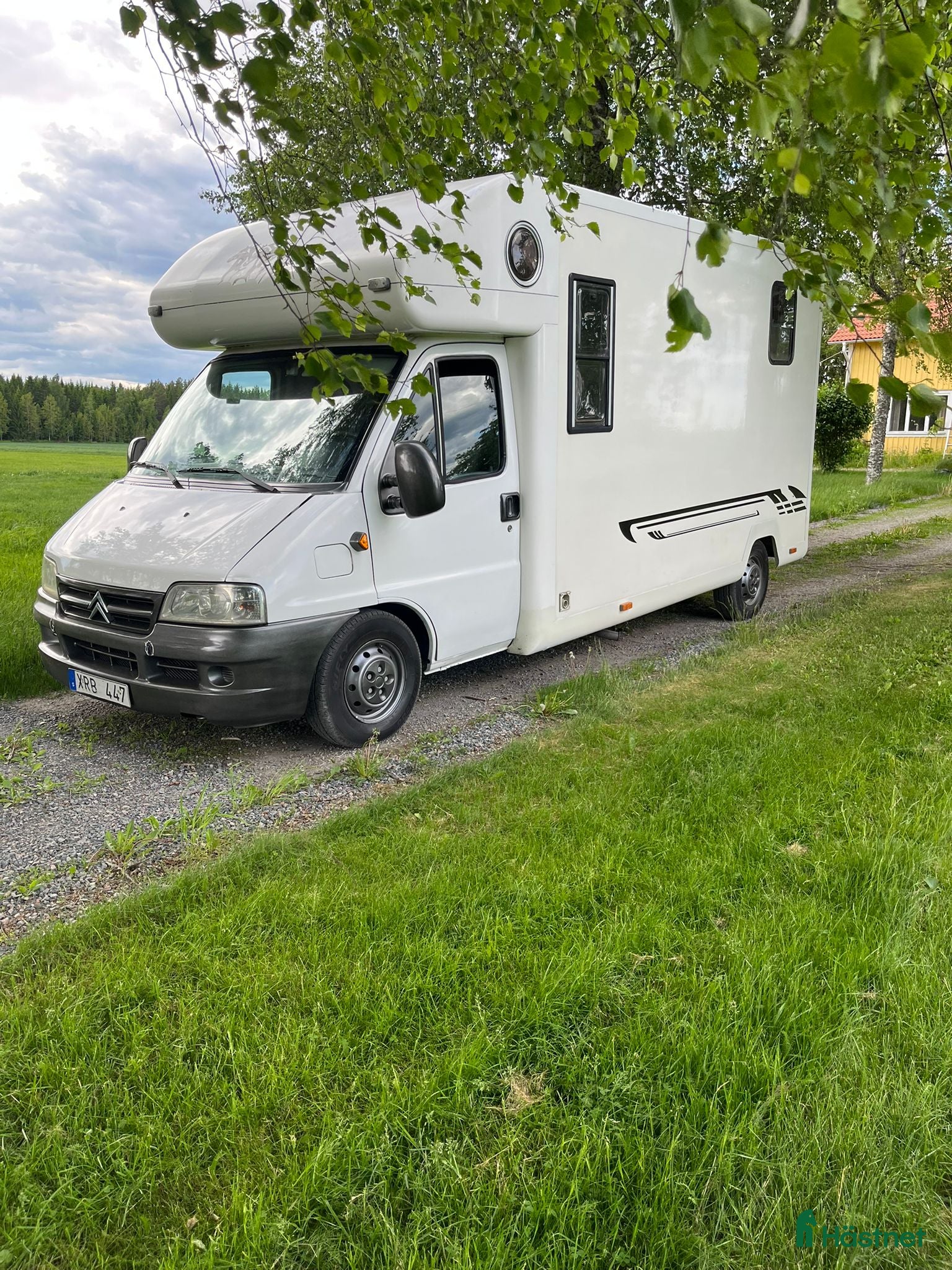 Hästlastbilar  fordon & transport till salu: Fräsch b kortare med bodelning  - Annons 3