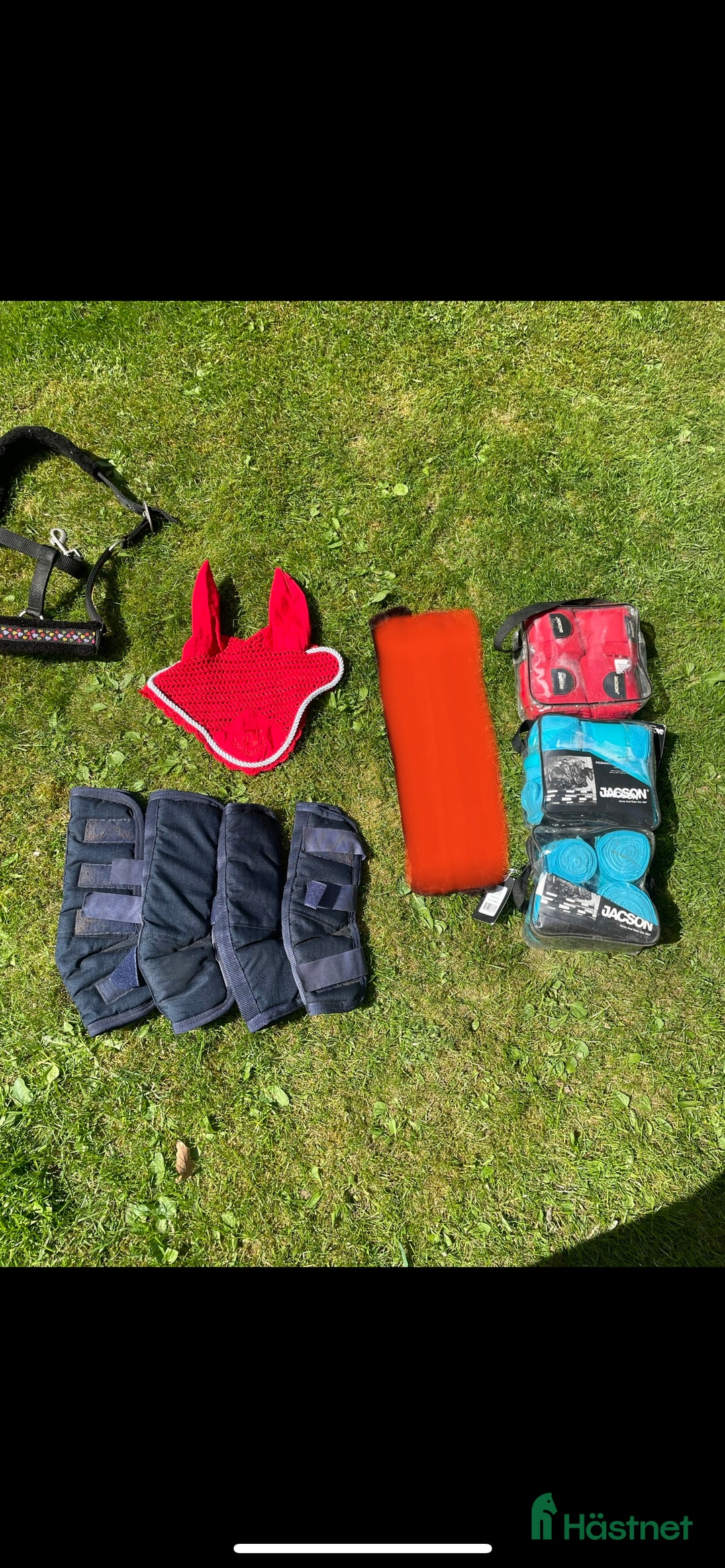 Övrig Hästutrustning hästutrustning till salu: Ryktsaker/paddar/benskydd mm i Trollhättan - Bild 12