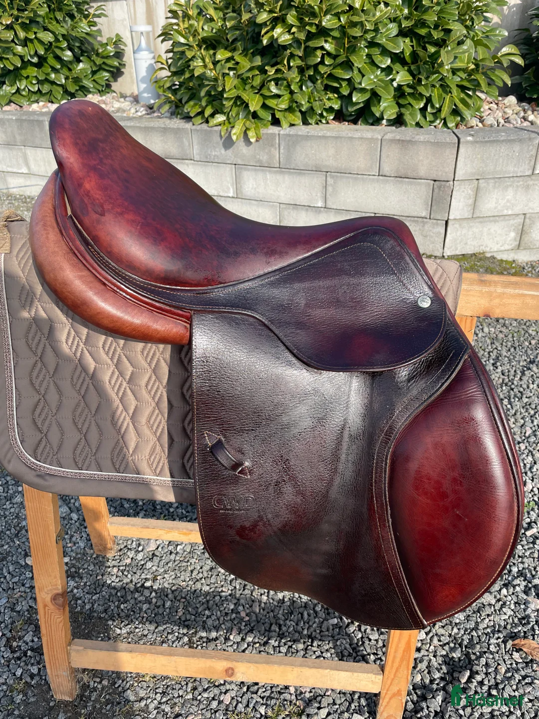 Sadlar hästutrustning till salu: CWD Hoppsadel - Annons 2