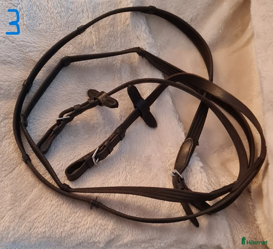 Övrig Hästutrustning hästutrustning till salu: Tyglar i Umeå - Annons 1