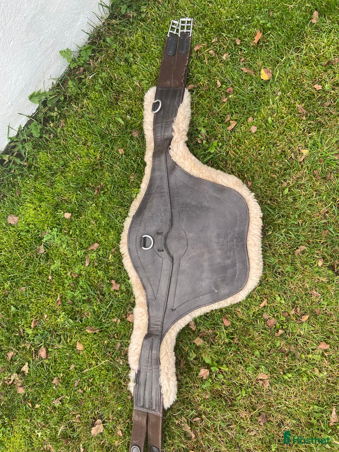 Sadeltillbehör hästutrustning till salu: Hopp plattor i Skövde - Annons 1