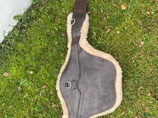 Sadeltillbehör hästutrustning till salu: Hopp plattor i Skövde - Annons 7