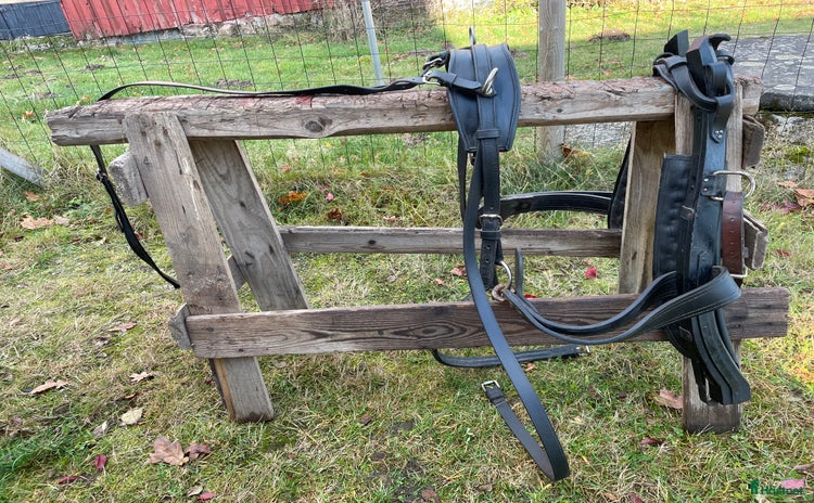 Körselar körning till salu i Sösdala - Annons 2