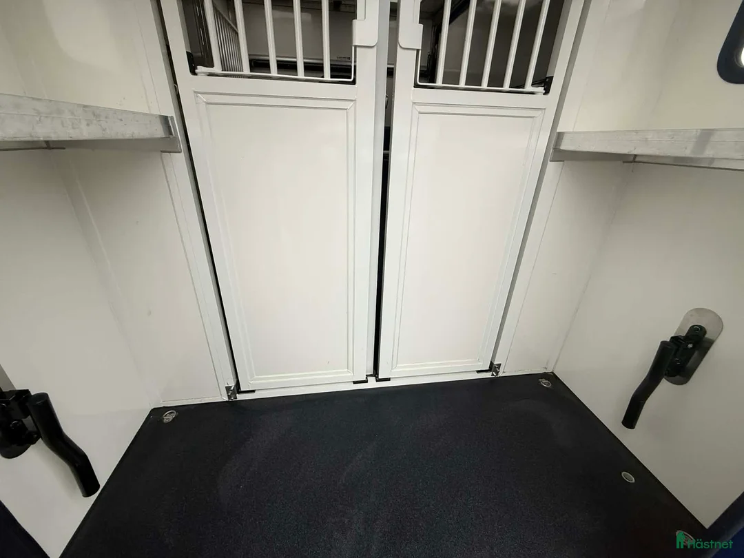 Hästlastbilar  fordon & transport till salu: PARAGAN EXCELSION 5XL STUTERI  i Köping - Annons 9