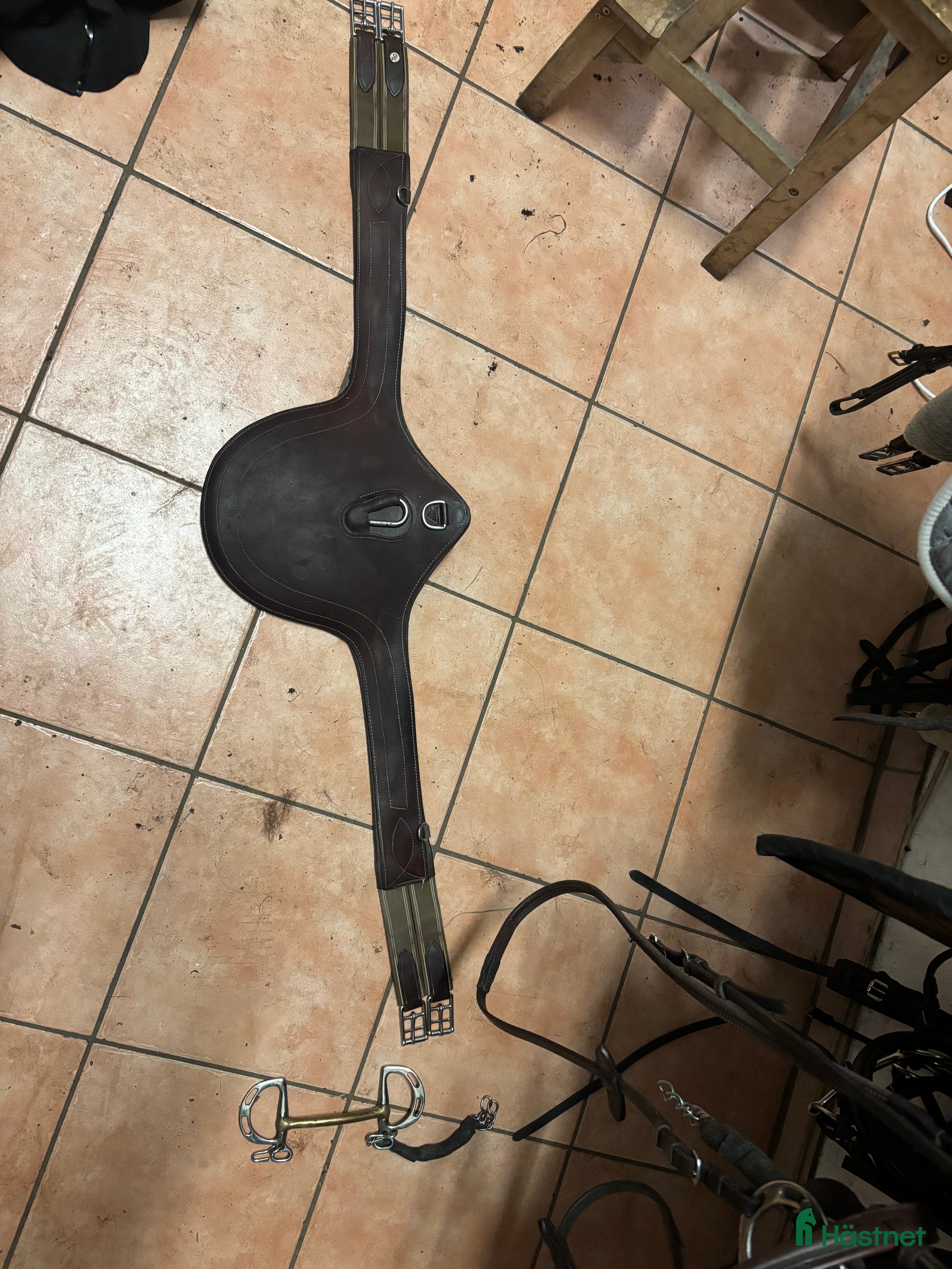Sadeltillbehör hästutrustning Brun magplatta - Annons 7