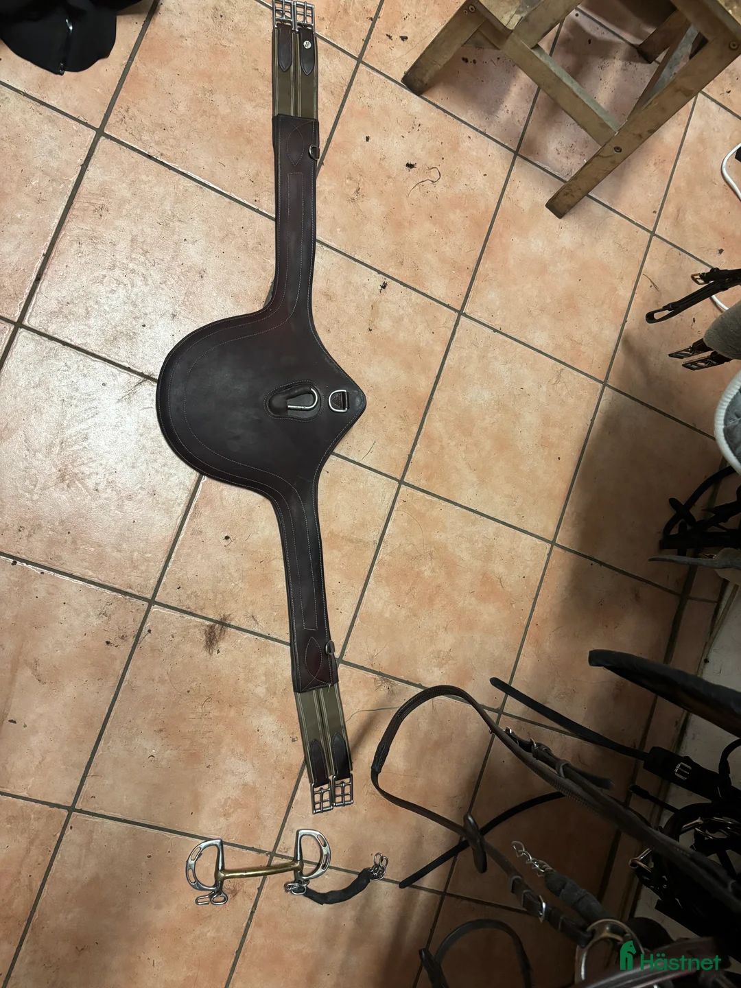 Sadeltillbehör hästutrustning till salu: Brun magplatta - Annons 1