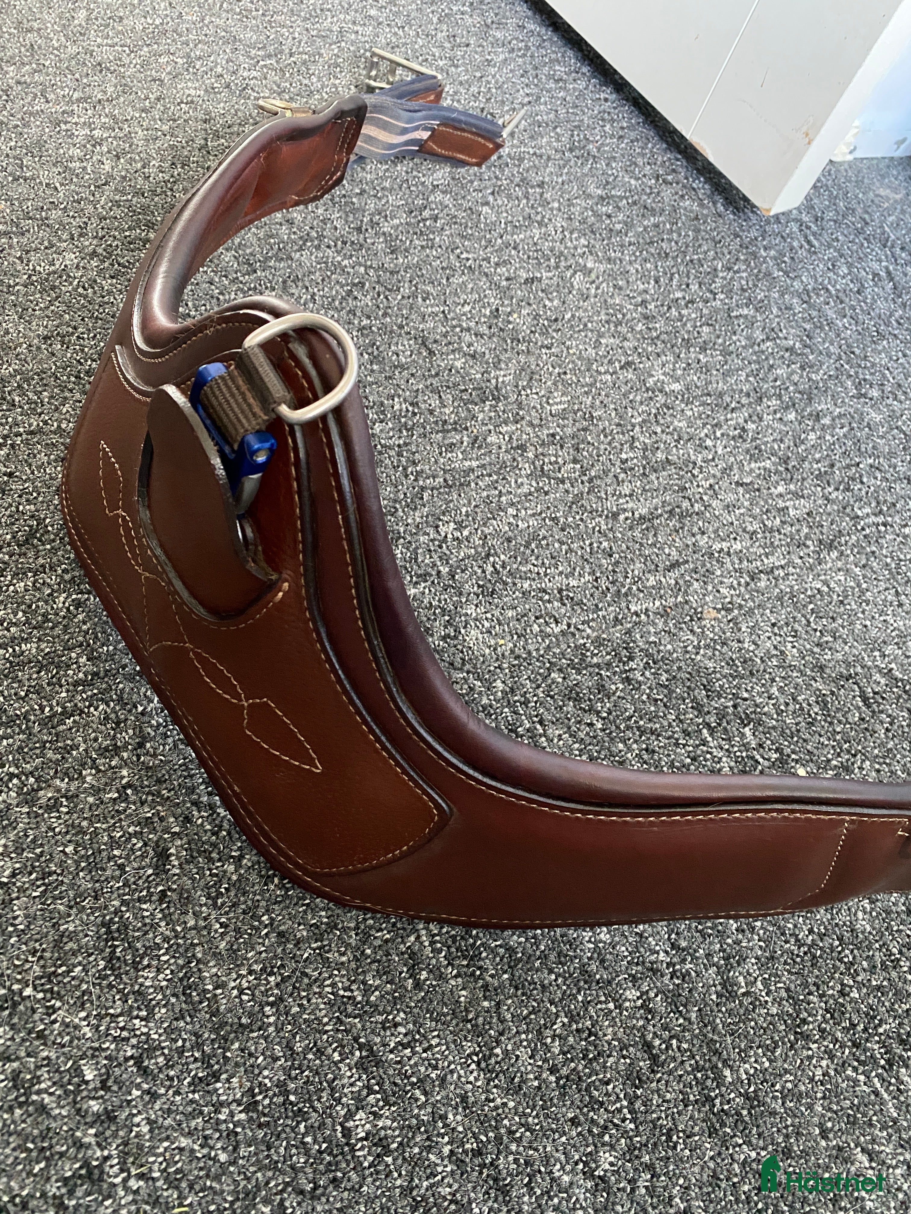 Sadeltillbehör hästutrustning till salu: Antarès anatomisk sadelgjord i Jämjö - Annons 3