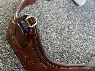 Sadeltillbehör hästutrustning till salu: Antarès anatomisk sadelgjord i Jämjö - Annons 11