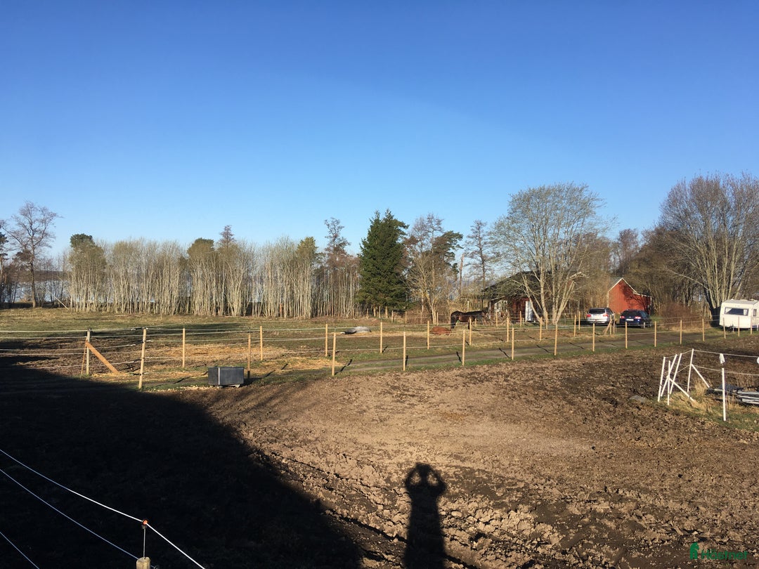 Galleribild {{count}}