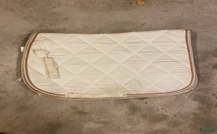 Schabrak & Vojlockar hästutrustning till salu i Hammarö - Annons 18