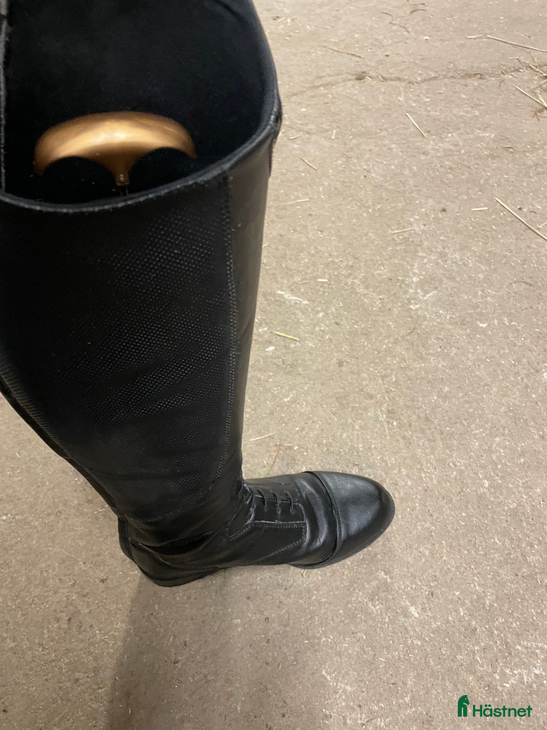 Ridstövlar ryttarutrustning till salu: Ridstövlar i Katrineholm - Annons 24