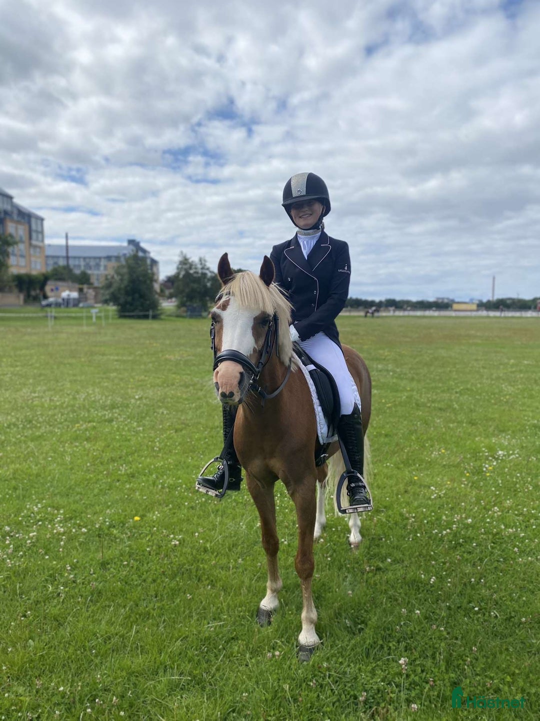 Dressyr hästar till salu: Vacker b-ponny dressyr inriktning till salu  i Asmundtorp - Annons 1