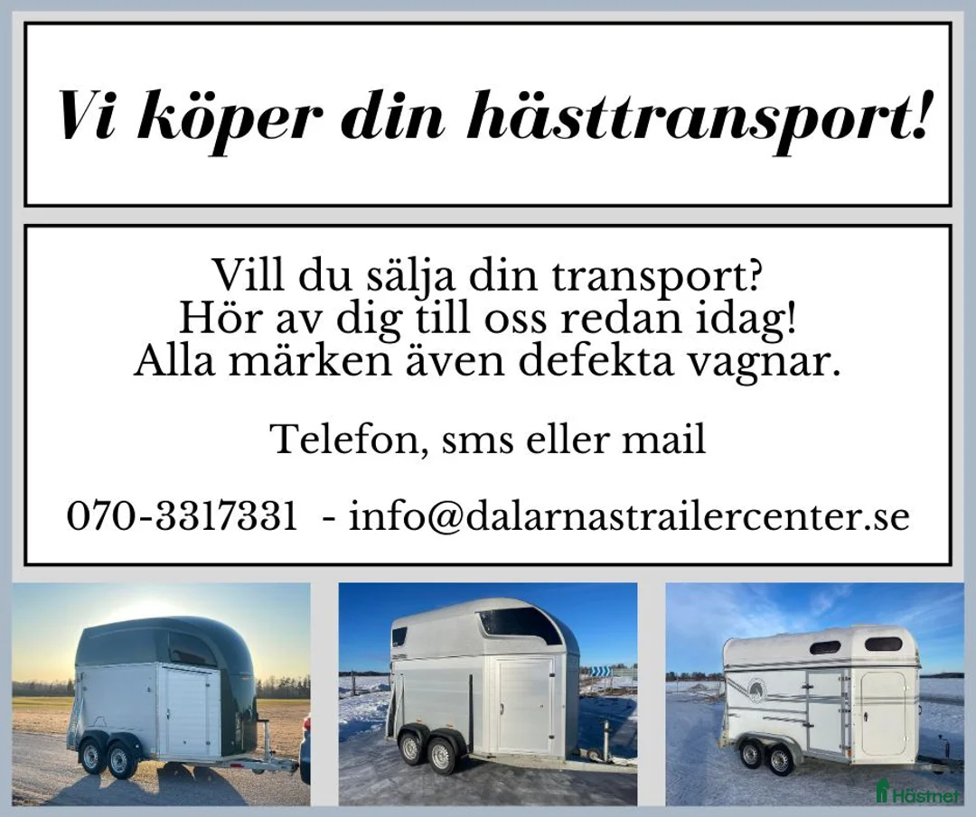 Hästtransporter  fordon & transport till salu: Vi köper din hästtransport! i Borlänge - Annons 1
