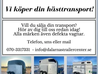 Hästtransporter fordon & transport till salu: Vi köper din hästtransport! - Annons 12