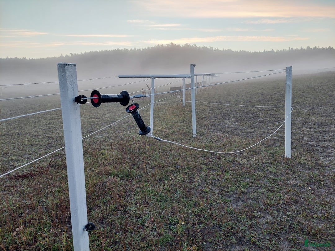  stallplats finnes: Boxplats Vid Häringe Slott 4900:- i Tungelsta - Annons 3