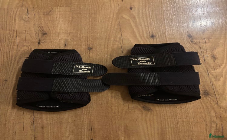 Benskydd hästutrustning till salu i Torhamn - Annons 9