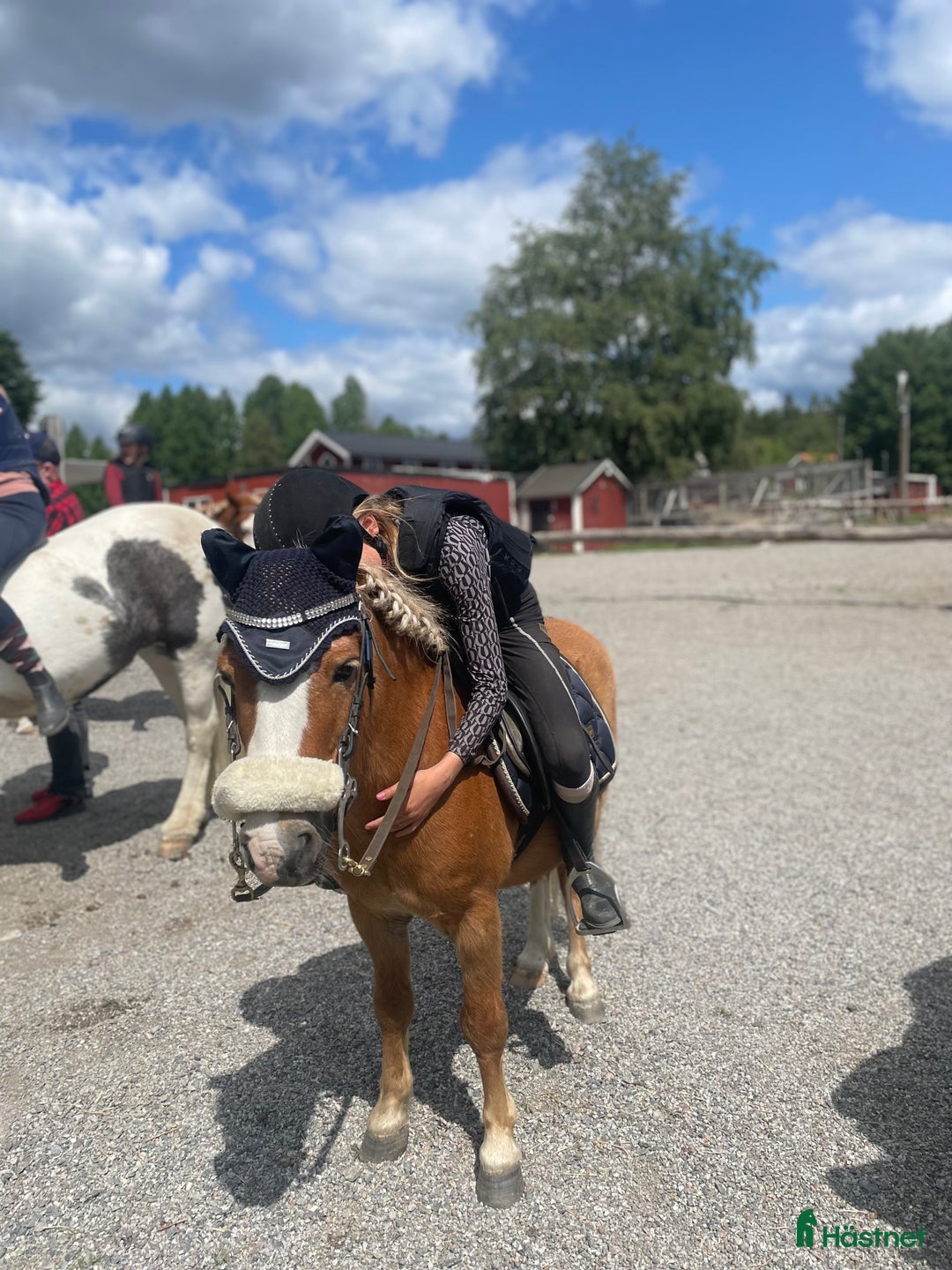  medryttarhäst sökes: Hästägare titta hit!!!❤️ I södra Stockholm!!!!❤️❤️ i Trångsund - Annons 2