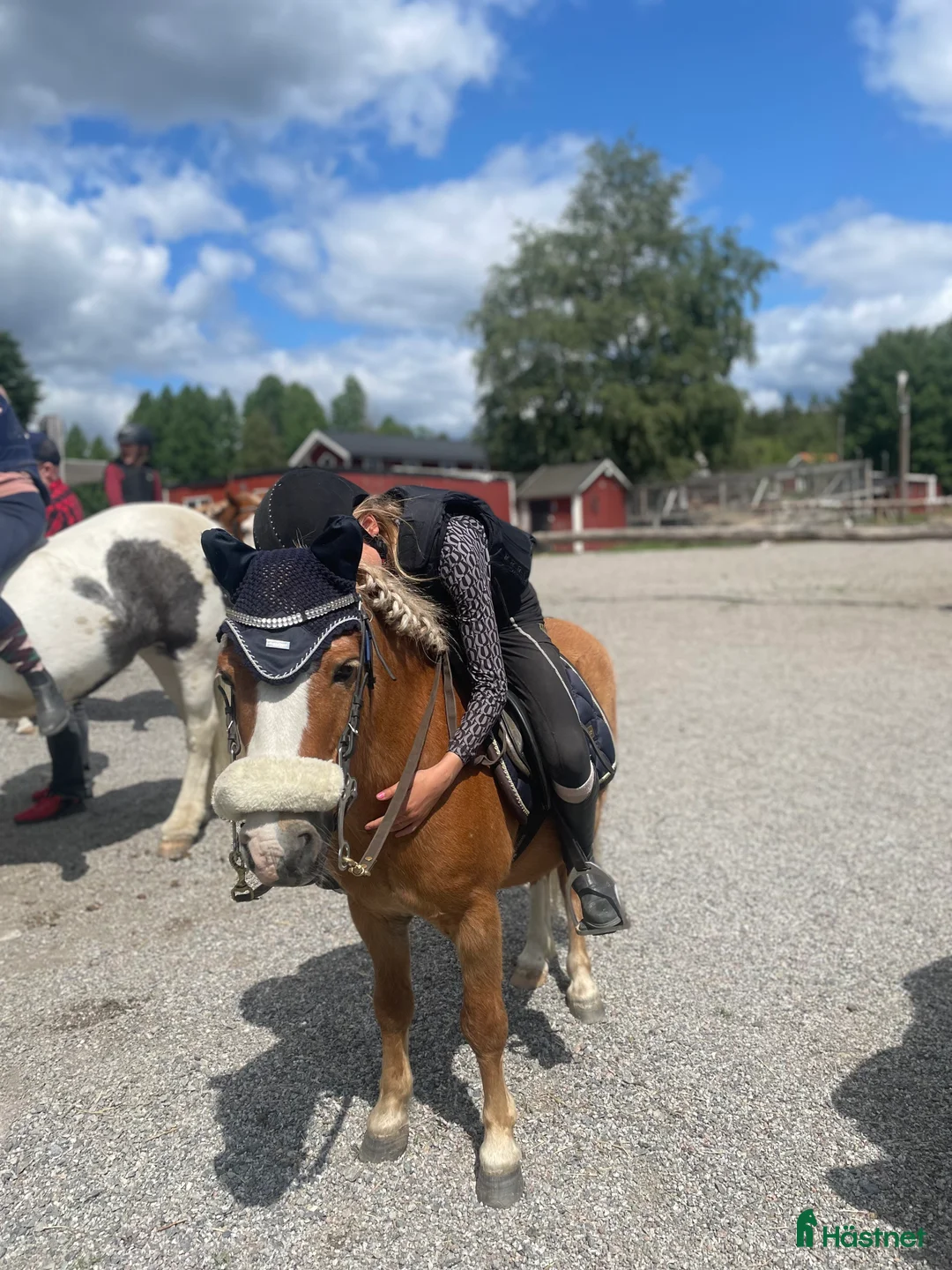  medryttarhäst sökes: Hästägare titta hit!!!❤️ I södra Stockholm!!!!❤️❤️ - Annons 2