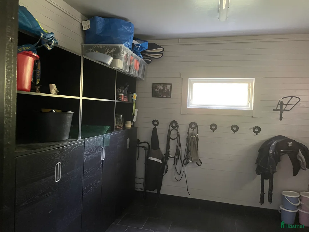  stallplats finnes: Två stallplatser uthyres i Tollarp - Annons 5