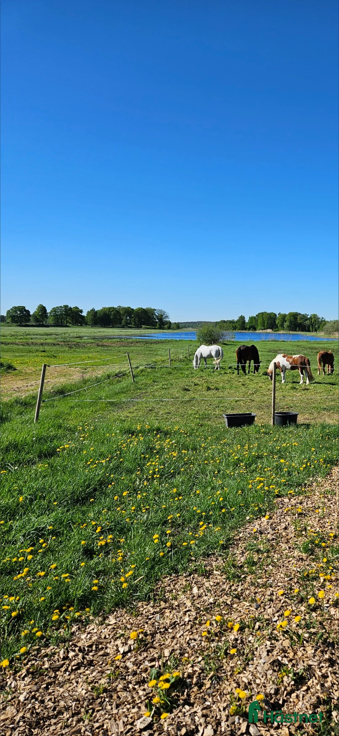  stallplats finnes: Fullservice stall i Märsta - Annons 12