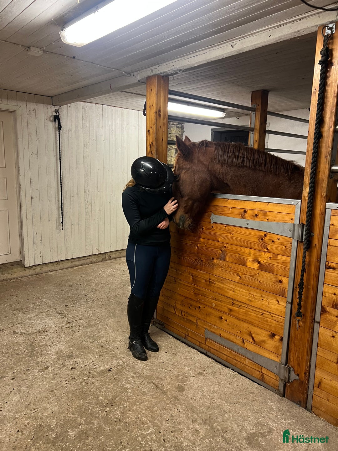 Allround hästar sökes: Söker medryttare till världens snällaste ponny i Dalstorp - Annons 1