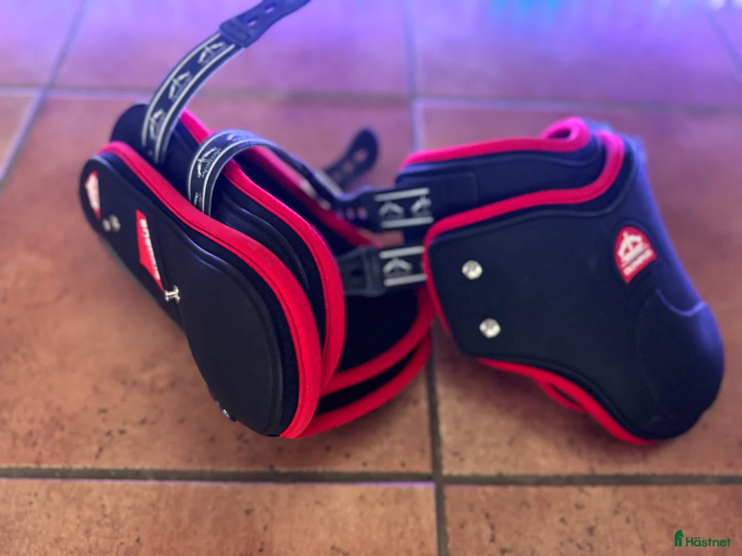 Benskydd hästutrustning till salu: Verdus benskydd - Annons 2