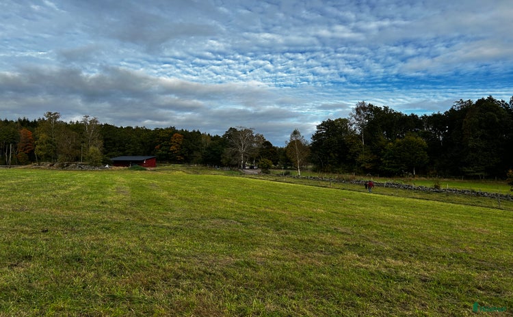  stallplats Lösdrift plats finnes i Varberg - Annons 11
