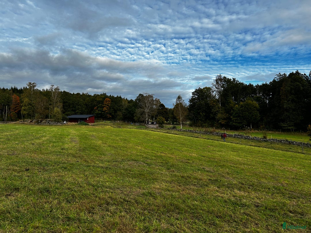  stallplats finnes: Lösdrift plats finnes i Varberg - Annons 1
