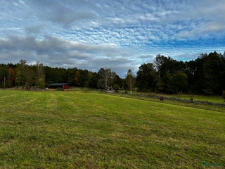 stallplats finnes: Lösdrift plats finnes i Varberg - Annons 1