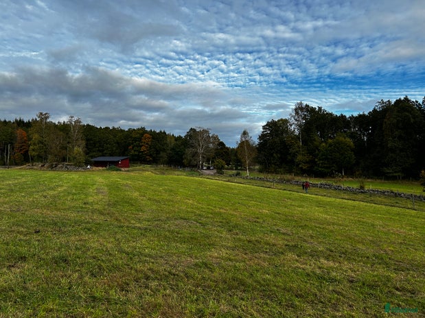 stallplats Lösdrift plats finnes i Varberg - Annons 11