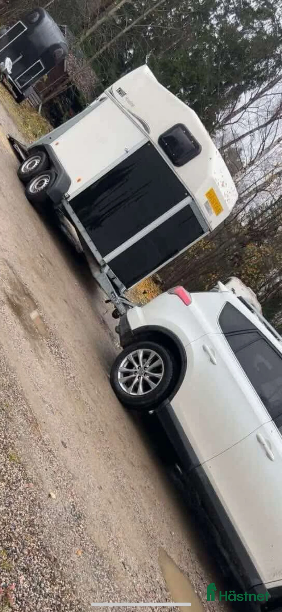 Hästtransporter  fordon & transport till salu: Thule Horseliner årsmodell 2012 - Annons 2