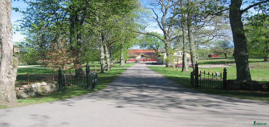 Galleribild {{count}}