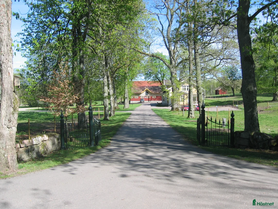 Galleribild {{count}}