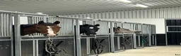  stallplats finnes: Boxplatser  - Annons 9