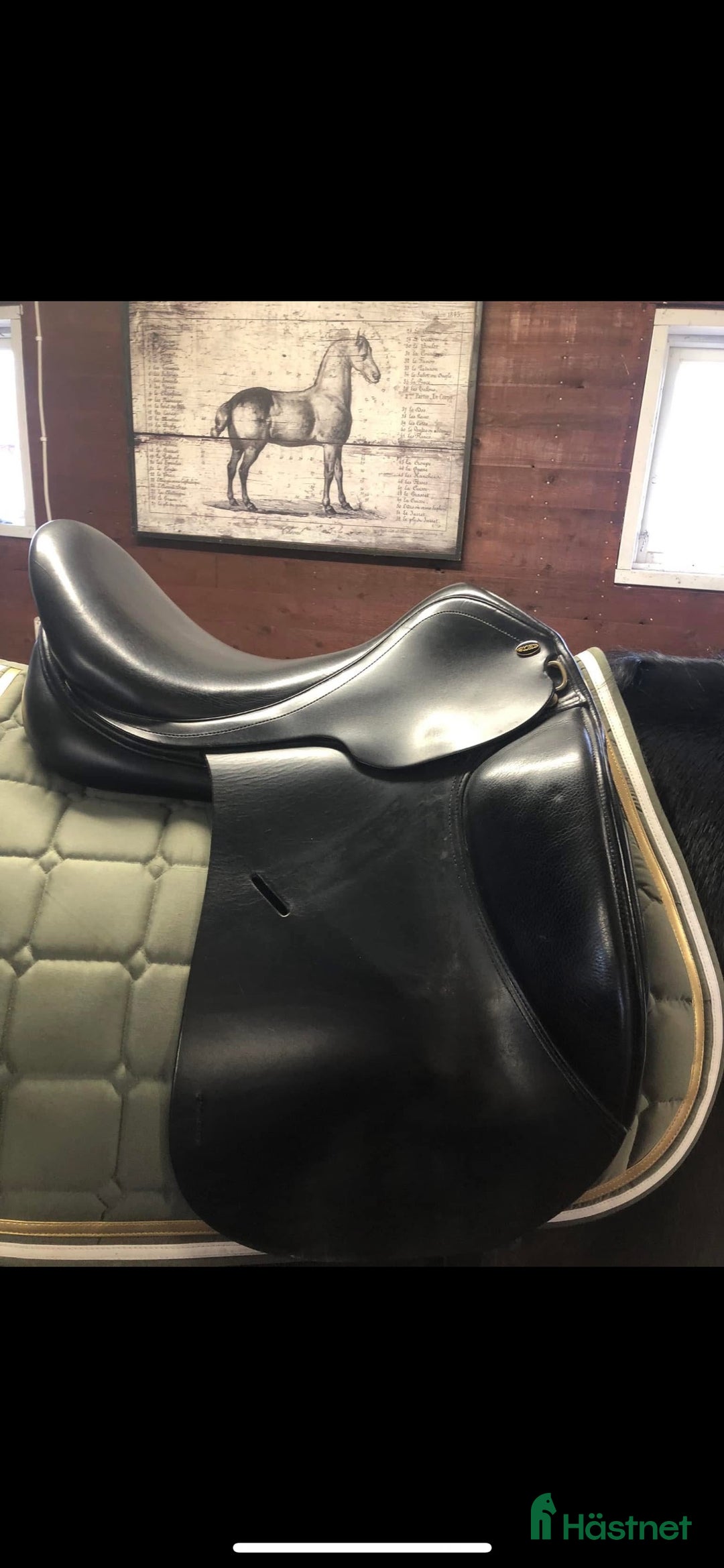 Sadlar hästutrustning till salu: Globus crincle 17” i Riala - Annons 4