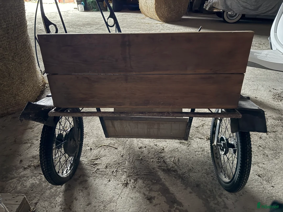 Körvagnar körning till salu: Rockard QH och rem i Tystberga - Annons 9