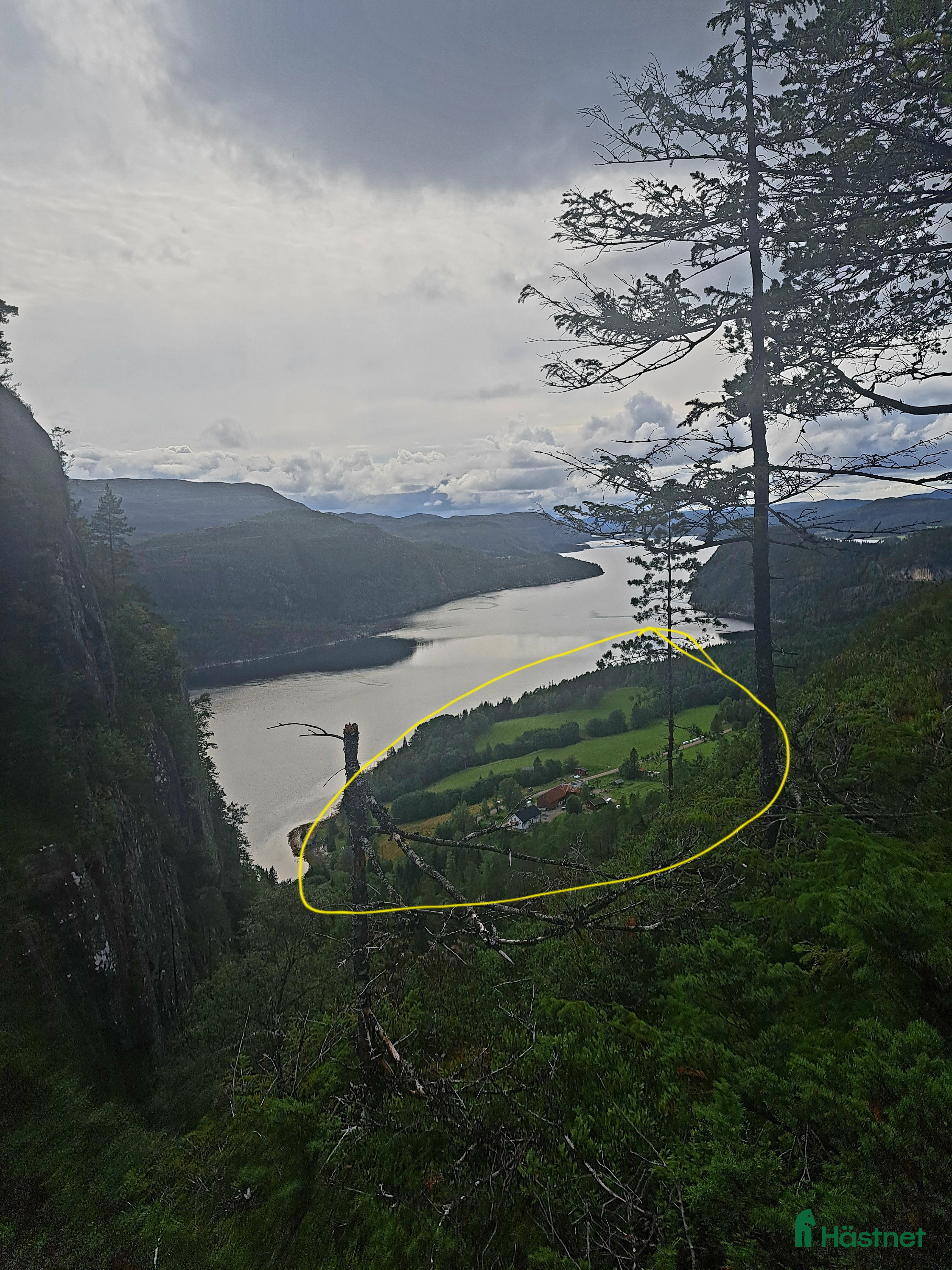  hästar Köpes: Nordsvensk brukshäst nsh nordsvenskar - Annons 1