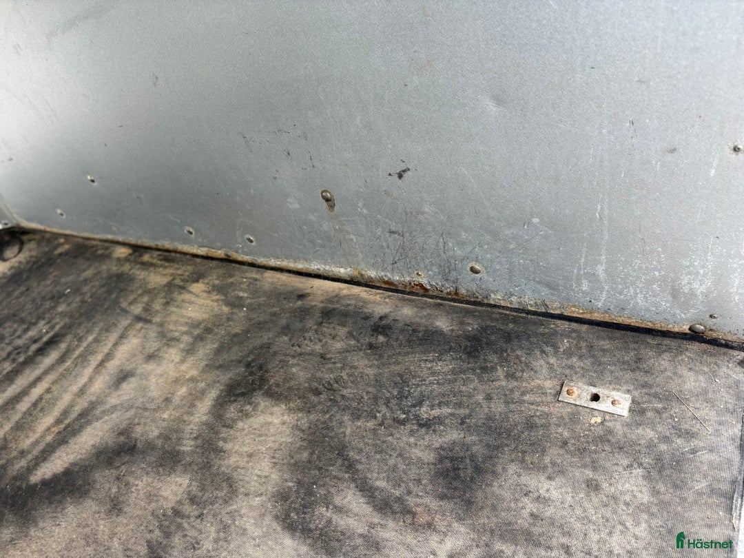 Hästtransporter  fordon & transport till salu: Cheval Liberte Gold - hög lastvikt! i Tävelsås - Annons 10