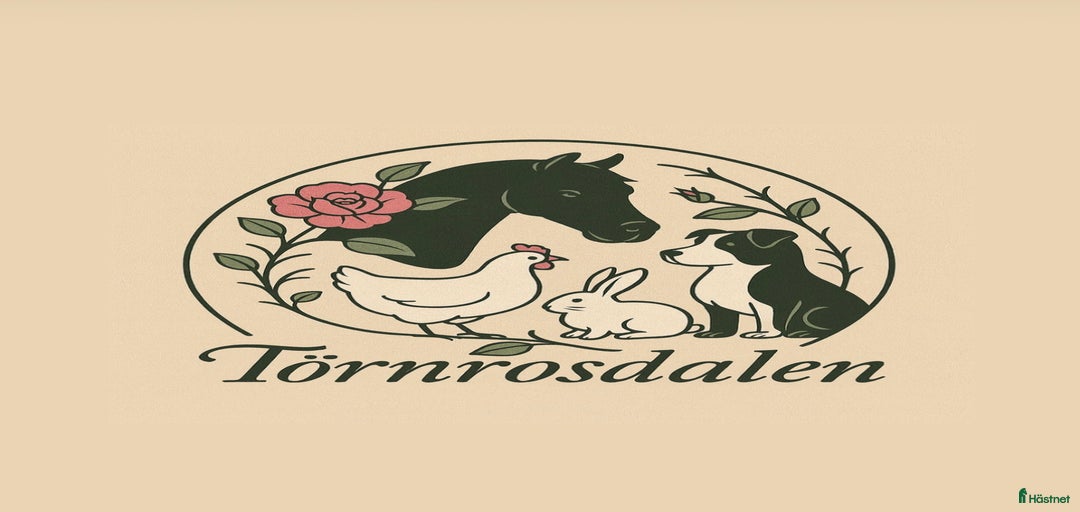 Galleribild {{count}}