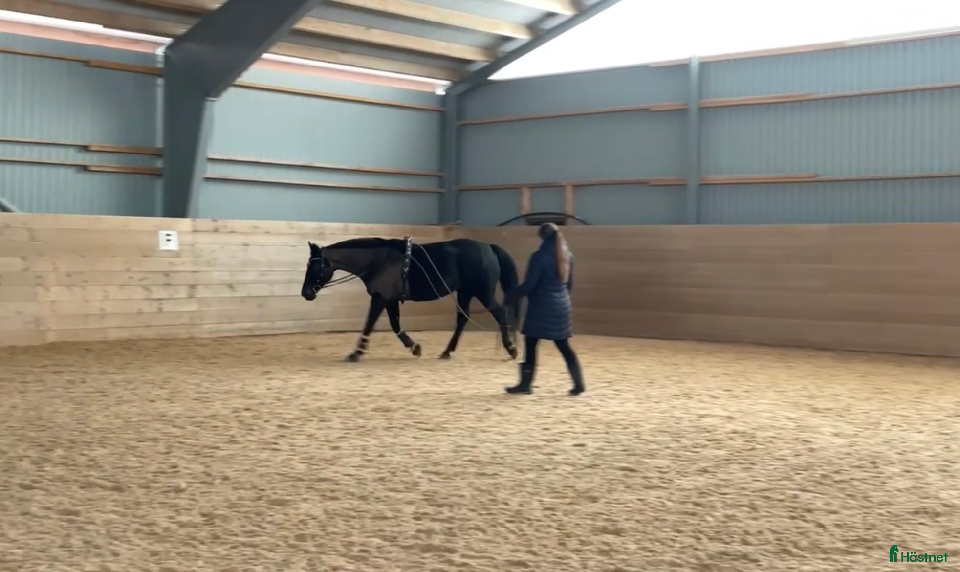  hästservice Tömkörning i Åtvidaberg - Annons 21