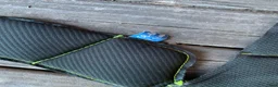 Hjälmar ryttarutrustning till salu: Samshield liner 58 M - Annons 3